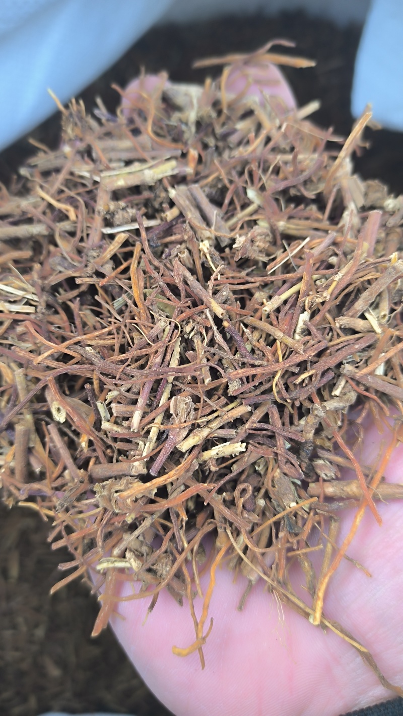 龙胆草药材批发各种规格龙胆草质量保证量大从优