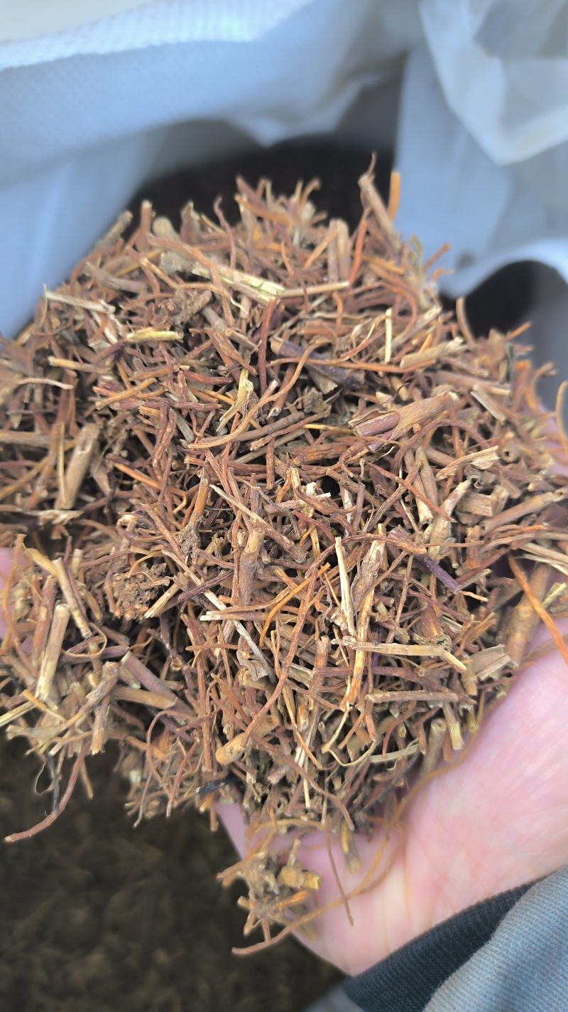 龙胆草药材批发各种规格龙胆草质量保证量大从优