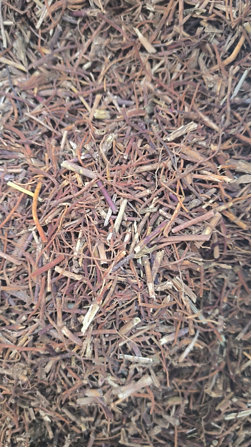 龙胆草药材批发各种规格龙胆草质量保证量大从优