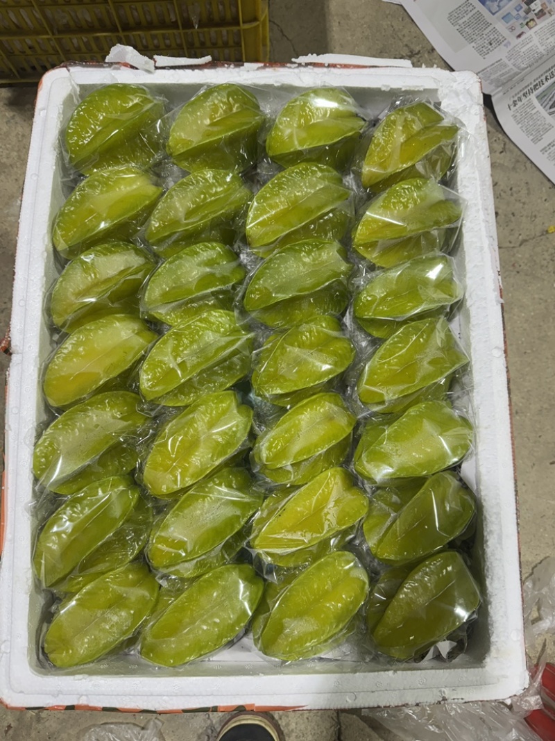 精美杨桃，大件市场果，价格合理，品质保证，欢迎光临！