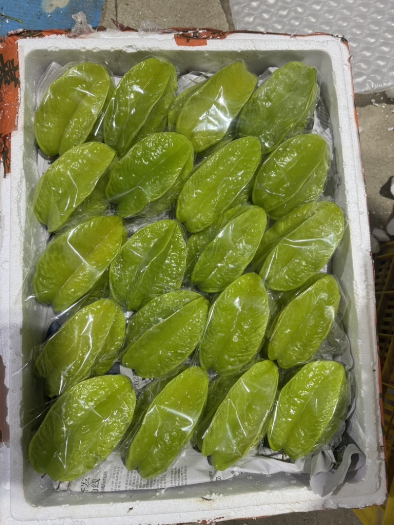 精美杨桃，大件市场果，价格合理，品质保证，欢迎光临！