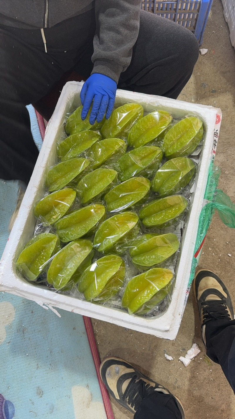 精美杨桃，大件市场果，价格合理，品质保证，欢迎光临！