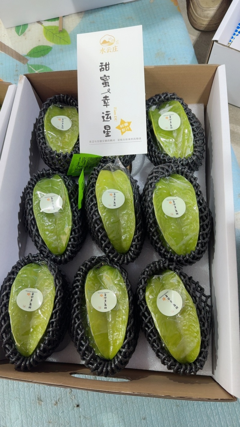 精美杨桃，大件市场果，价格合理，品质保证，欢迎光临！