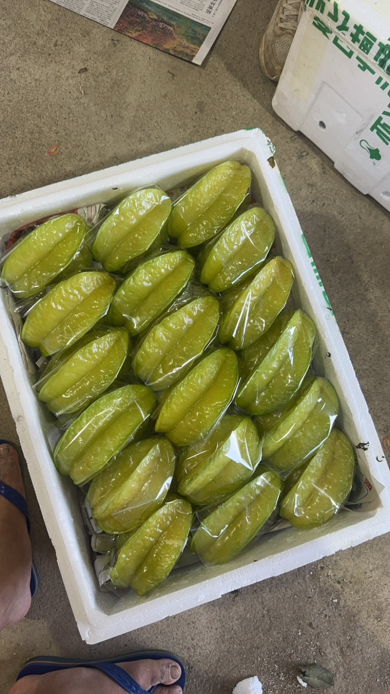 精美杨桃，大件市场果，价格合理，品质保证，欢迎光临！
