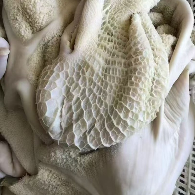 生牛肚