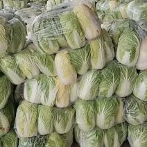 黄心大白菜