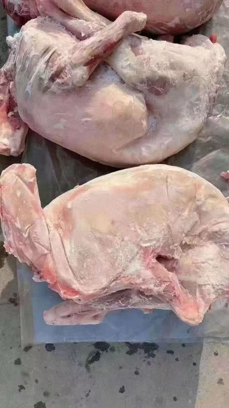 卧式全羊