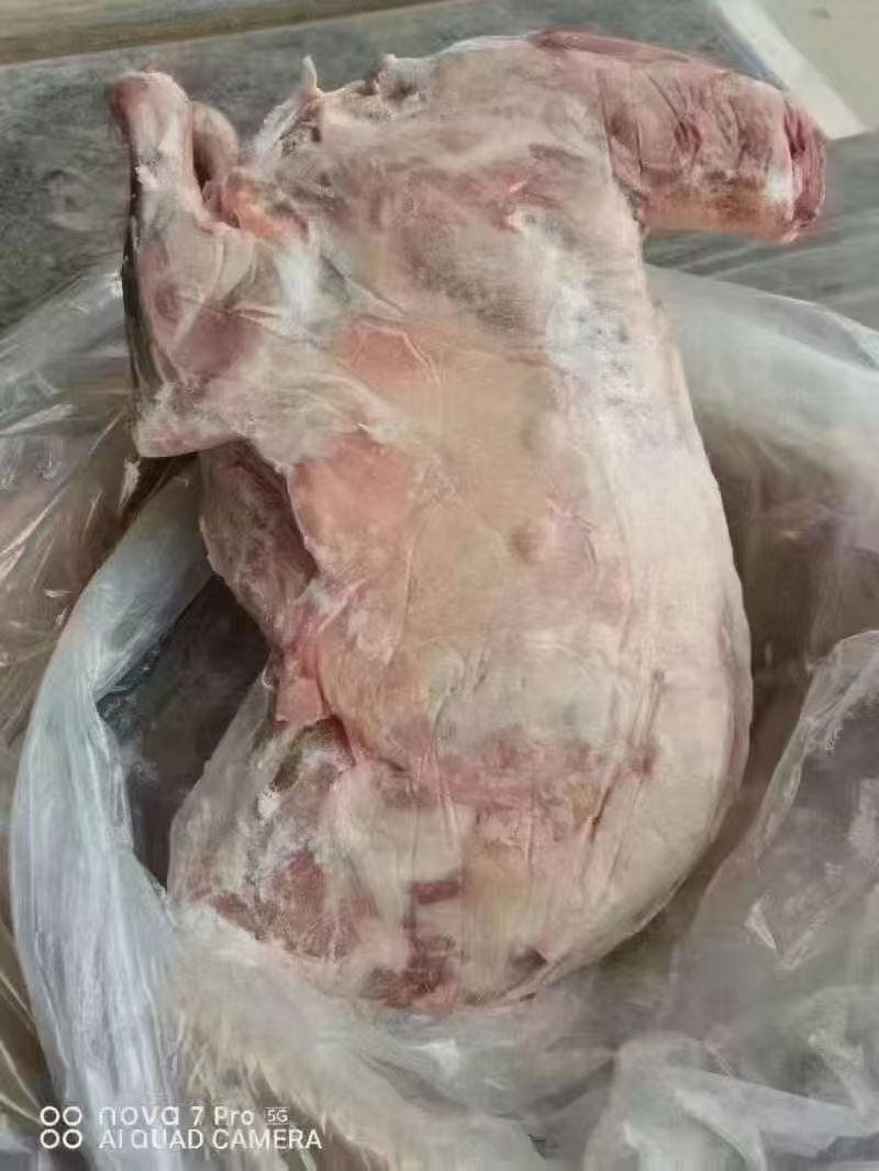 卧式全羊