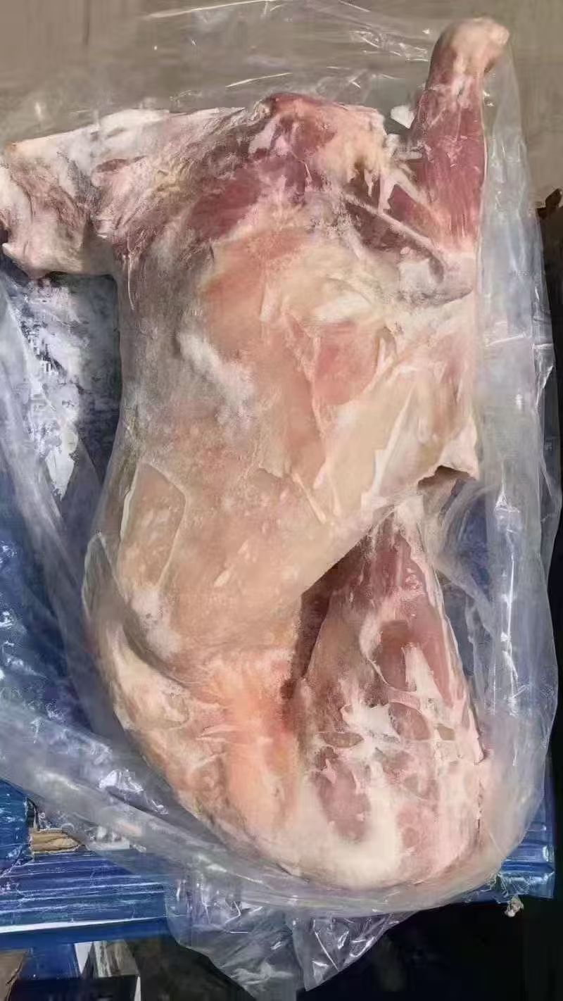 卧式全羊