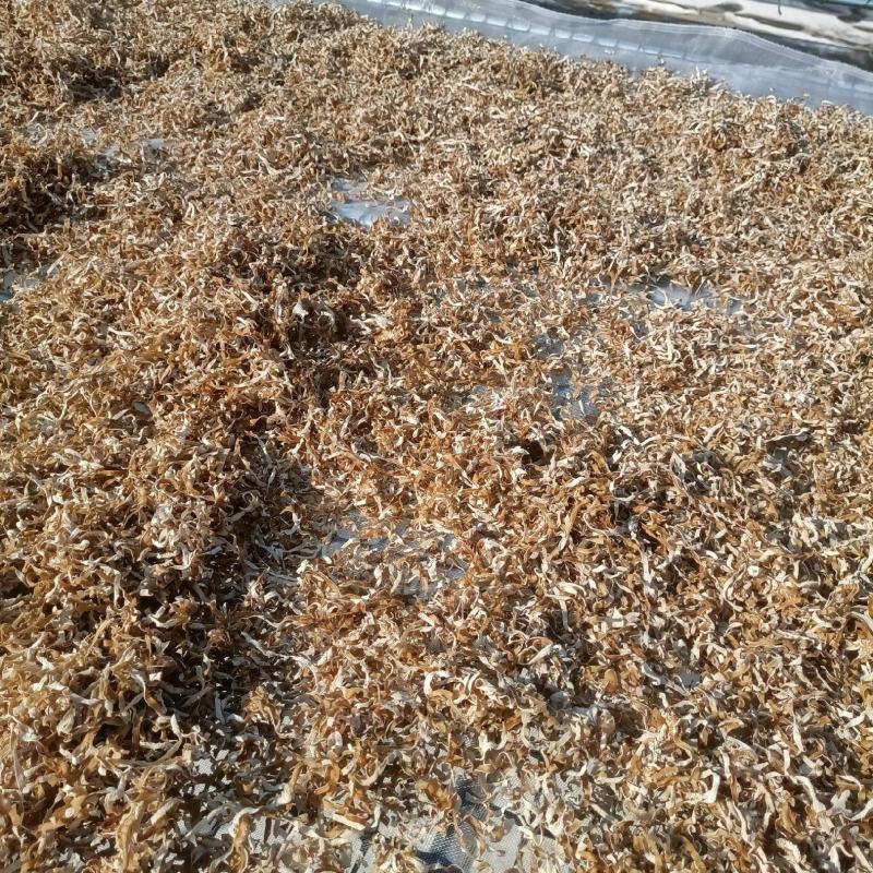 白木耳丝自产自销木耳丝白木耳丝厂家批发零售价格白木耳丝