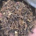威灵仙春雨药材批发各种规格中药材质量保证量大从优