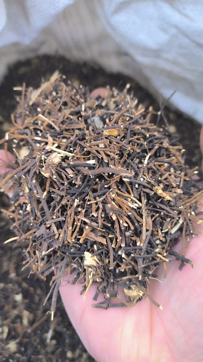 威灵仙春雨药材批发各种规格中药材质量保证量大从优