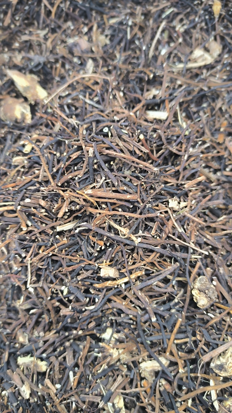 威灵仙春雨药材批发各种规格中药材质量保证量大从优