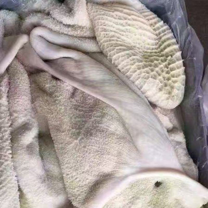 生牛肚