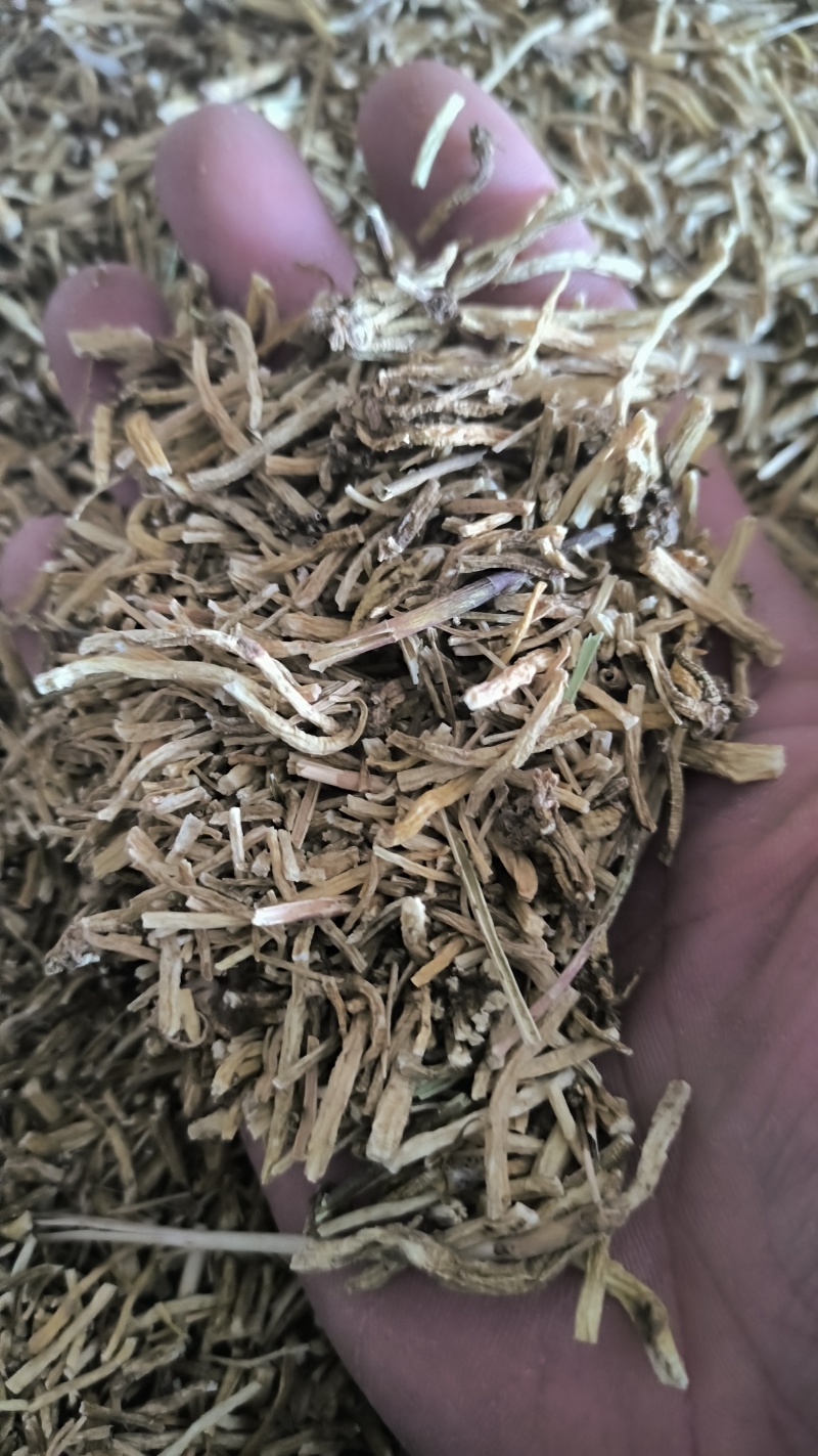 龙胆草药材批发各种规格龙胆草质量保证量大从优