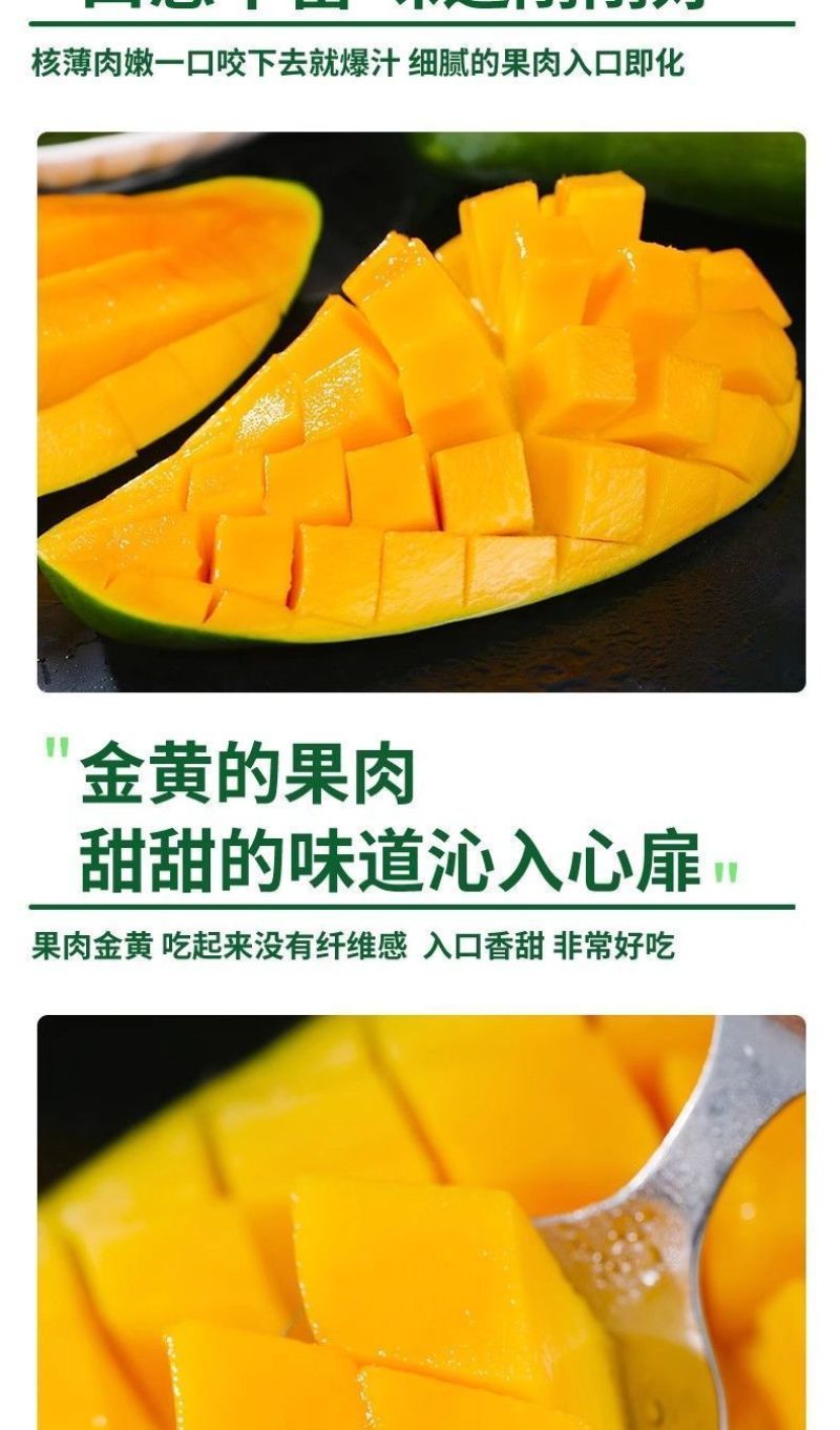 大青芒金煌芒青皮芒一件代发包邮10斤装