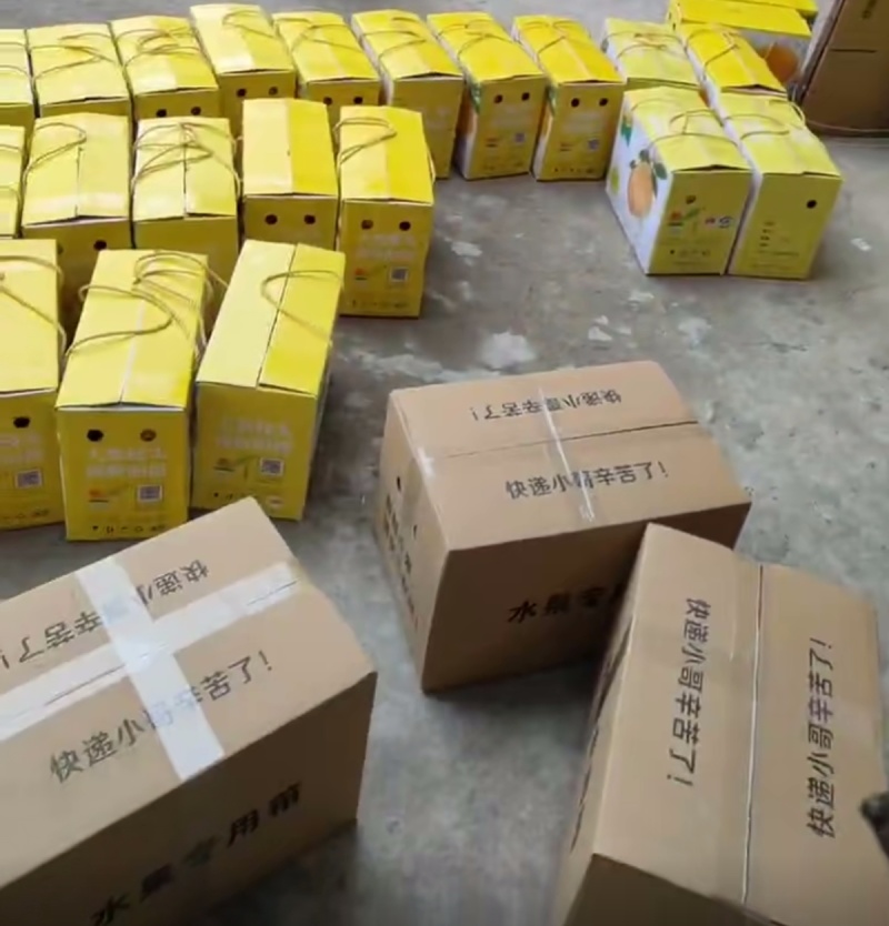 重庆奉节脐橙