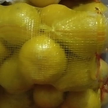永州江永香柚