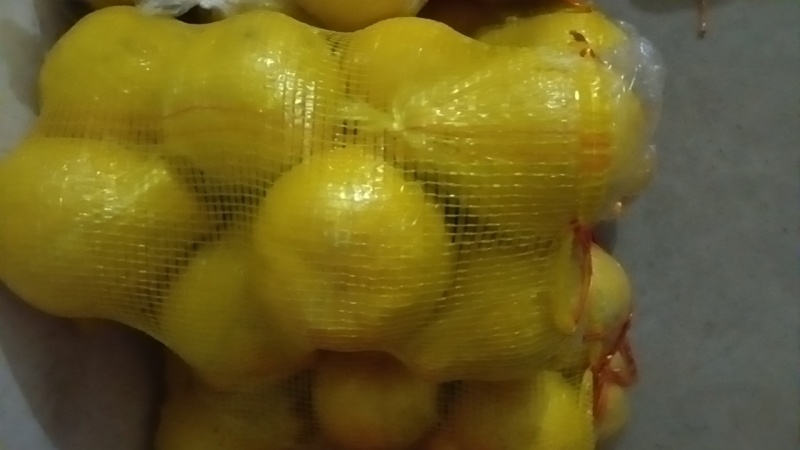 永州江永香柚