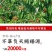 5斤原箱礼盒车厘子一件代发直播团购批发