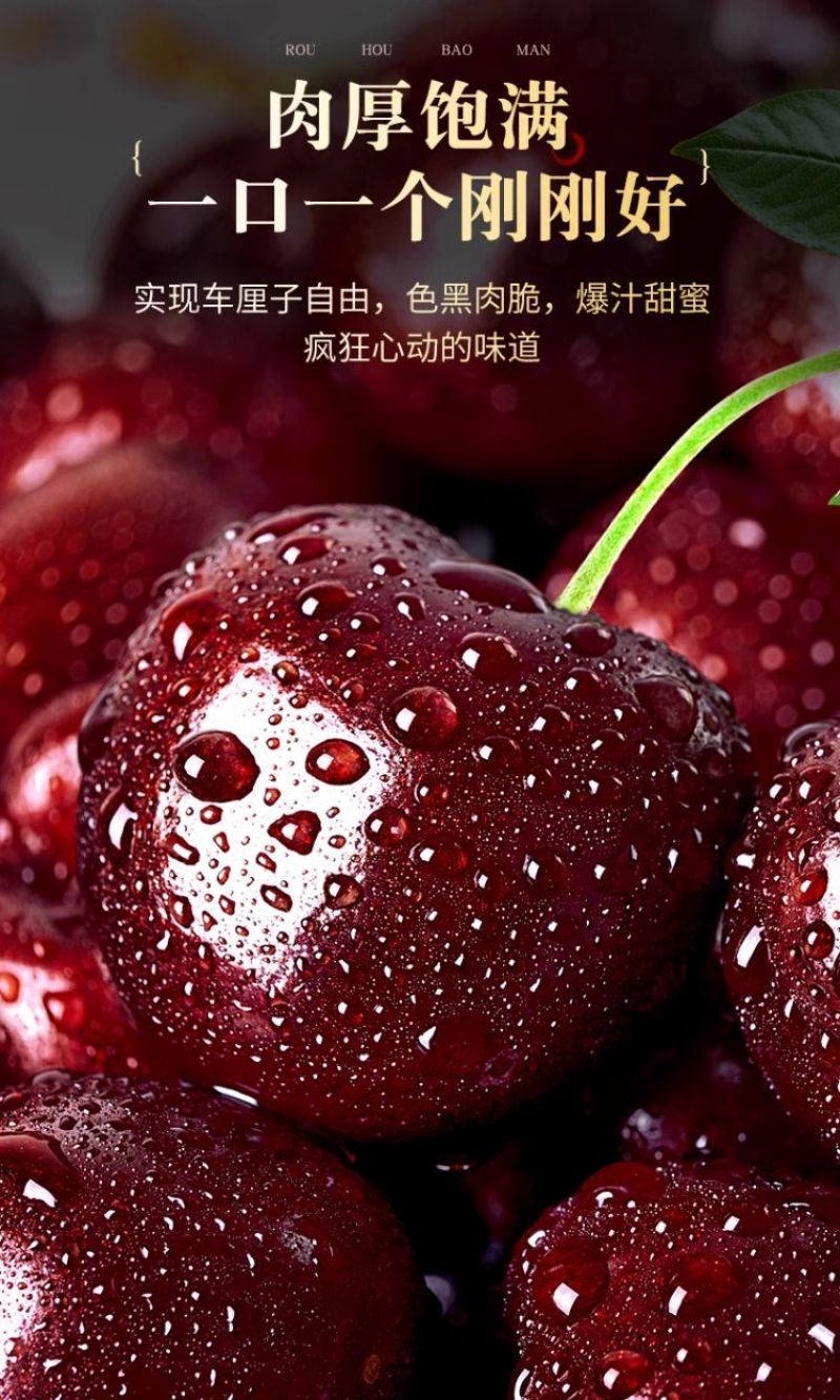 5斤原箱礼盒车厘子一件代发直播团购批发