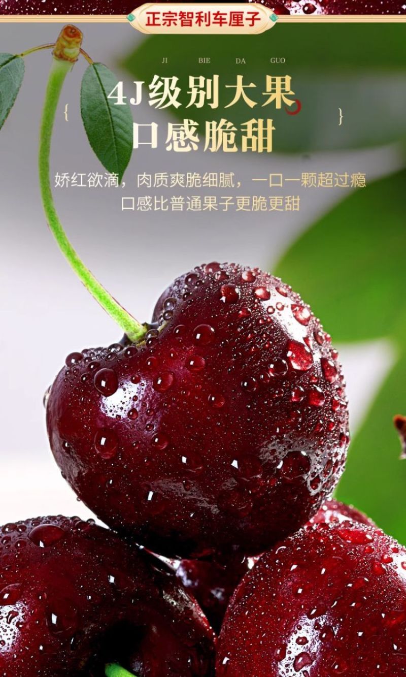 5斤原箱礼盒车厘子一件代发直播团购批发
