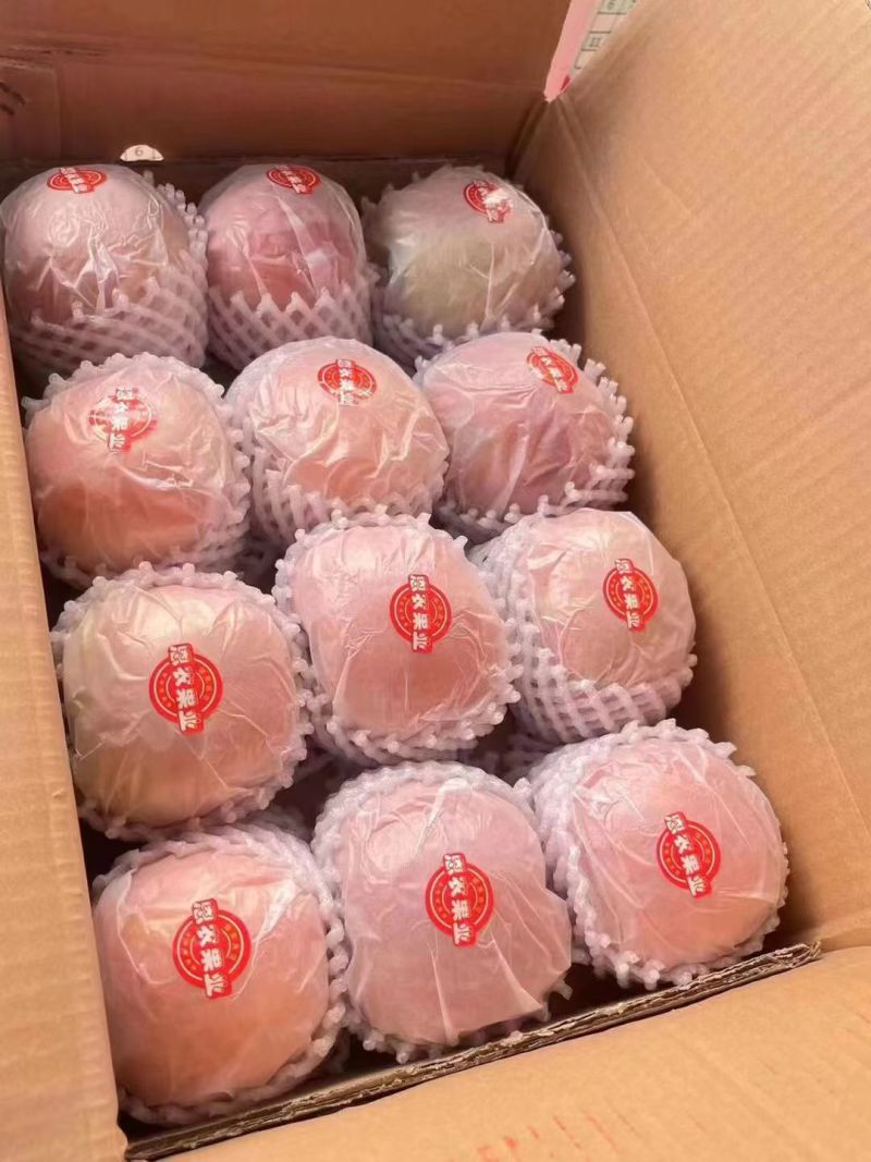 新疆阿克苏地区苹果红富士一件代发包邮