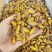 （饲料级别，高蛋白）冻蚕蛹，全国发货，大量上市，欢迎进店