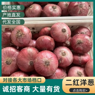 二红洋葱/水果洋葱/山东聊城产区直发/货源充足