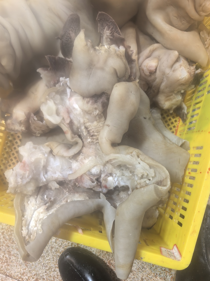 牛蹄脚新鲜，大量有货，一手货源，量大优惠，欢迎新老客户