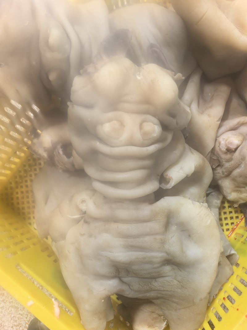 牛蹄脚新鲜，大量有货，一手货源，量大优惠，欢迎新老客户