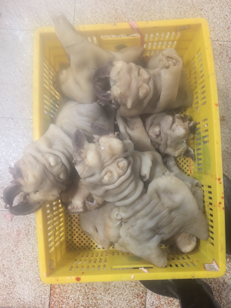 牛蹄脚新鲜，大量有货，一手货源，量大优惠，欢迎新老客户