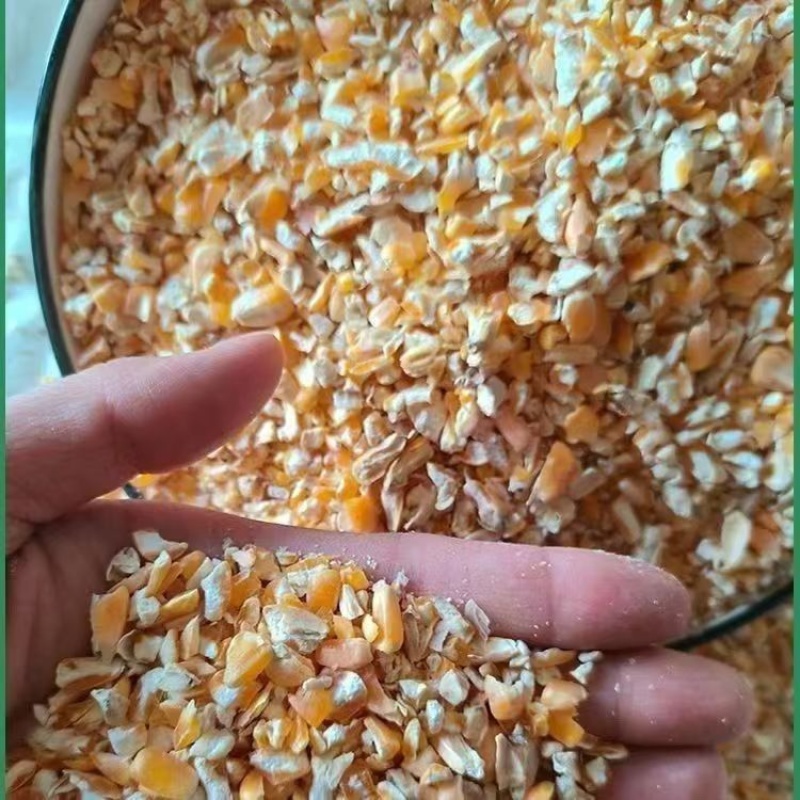 碎玉米粒/山东产区直发/货源充足/大量现货