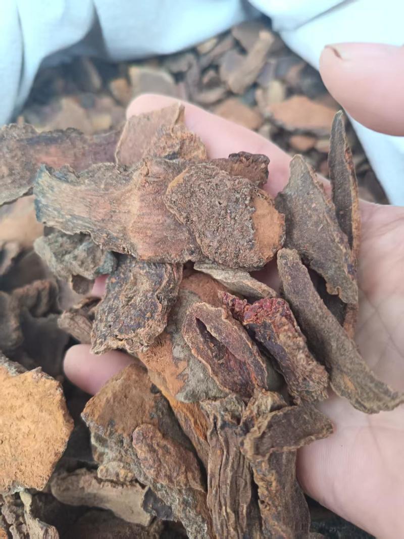 锁阳锁阳片锁阳个泡酒料大量供应一件代发