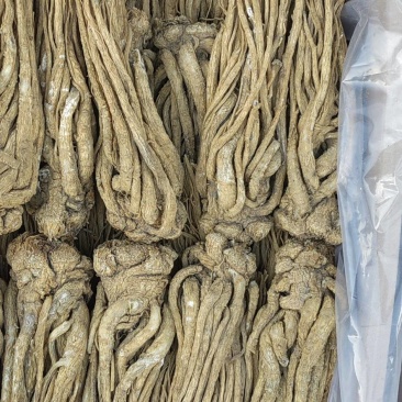 大个有硫当归现货批发.手搓毛毛剪尾净货