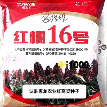红糯16号高粱种子酿酒矮秆糯高粱种子