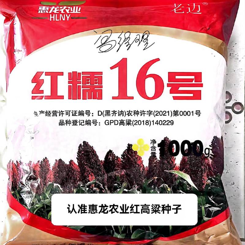 红糯16号高粱种子酿酒矮秆糯高粱种子