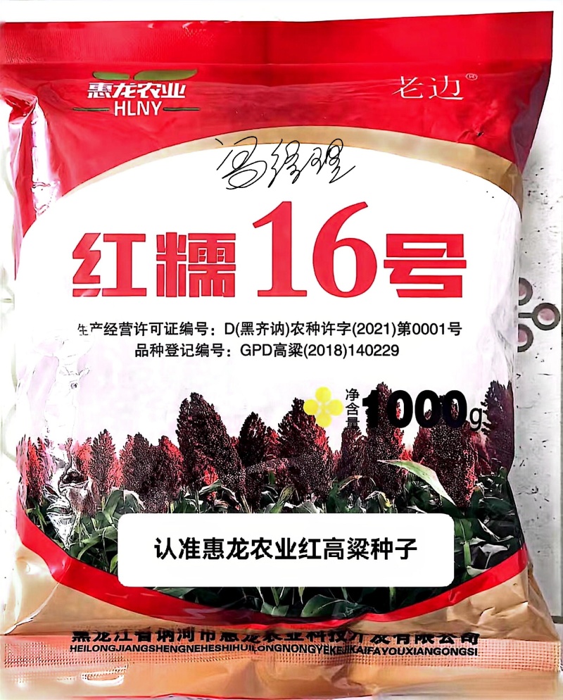 红糯16号高粱酿酒高粱高产红高粱新品种种子