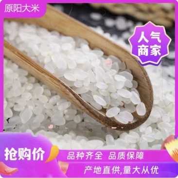 【黄金晴大米】河南原阳产地黄河之边工厂直发量大价优一手货源
