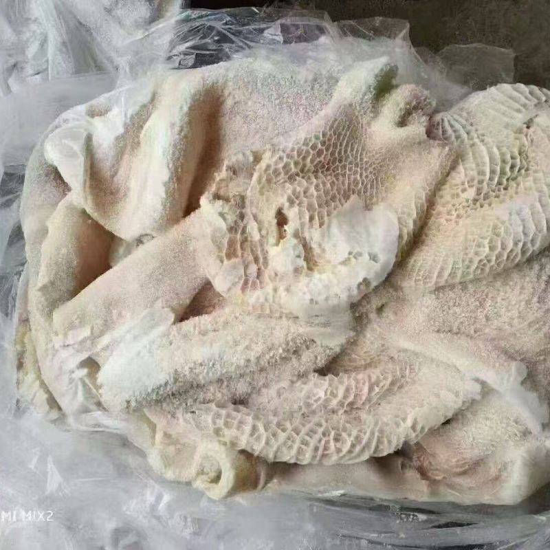 生牛肚