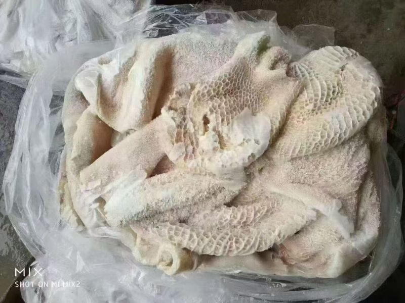 生牛肚