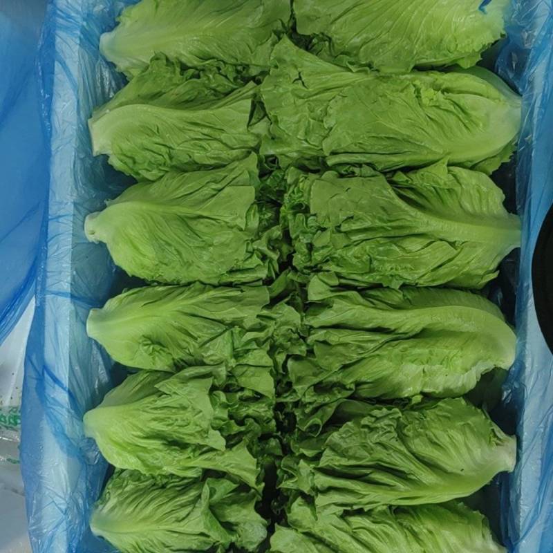 产地直发，货源稳定，质量标准，量大从优