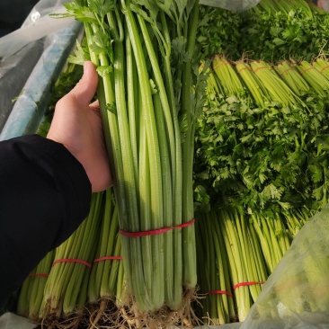 精品香芹