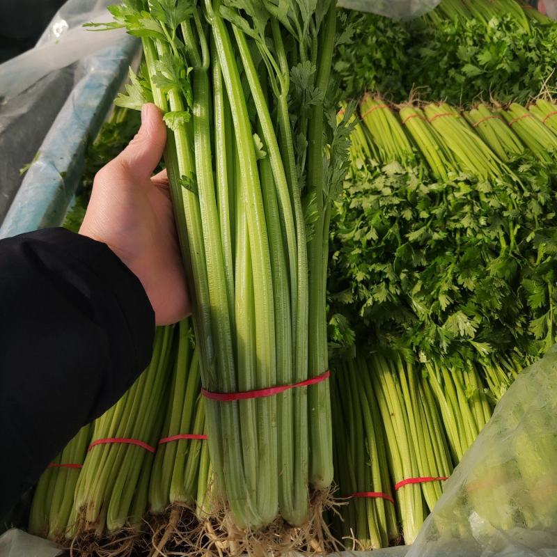 精品香芹