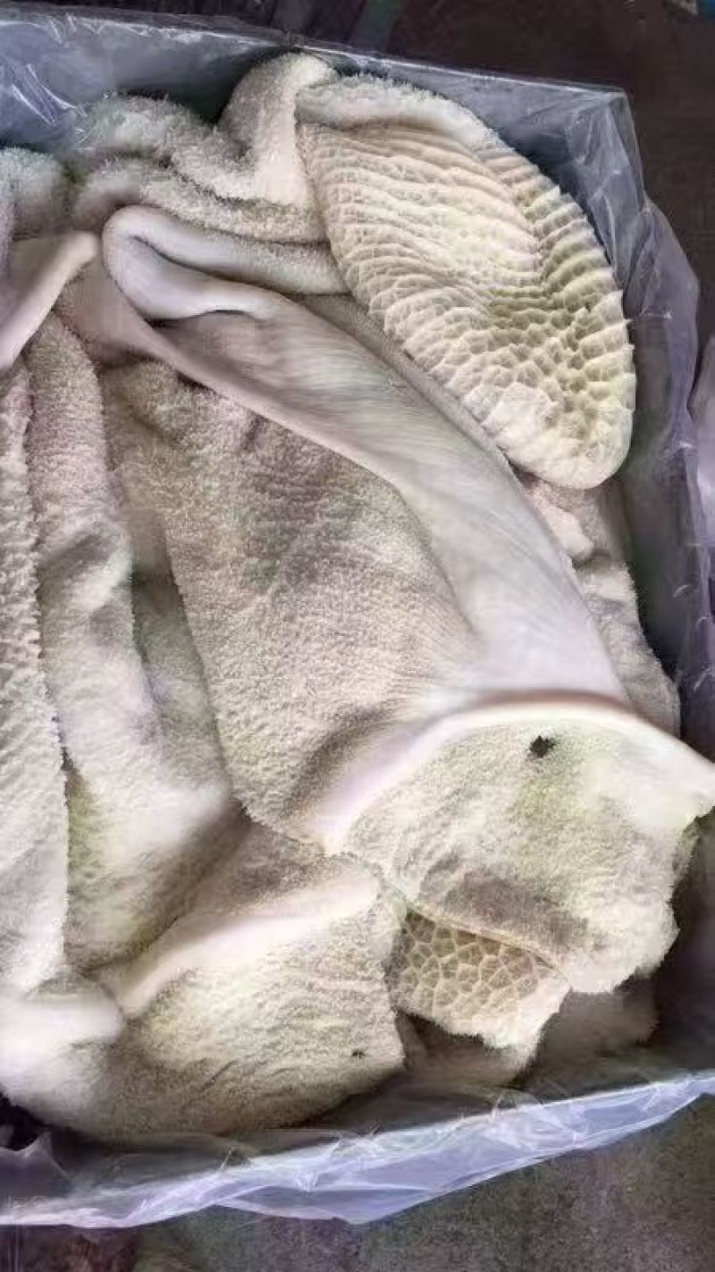 生牛肚40斤一箱