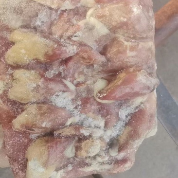 扒皮鹌鹑1.8两左右