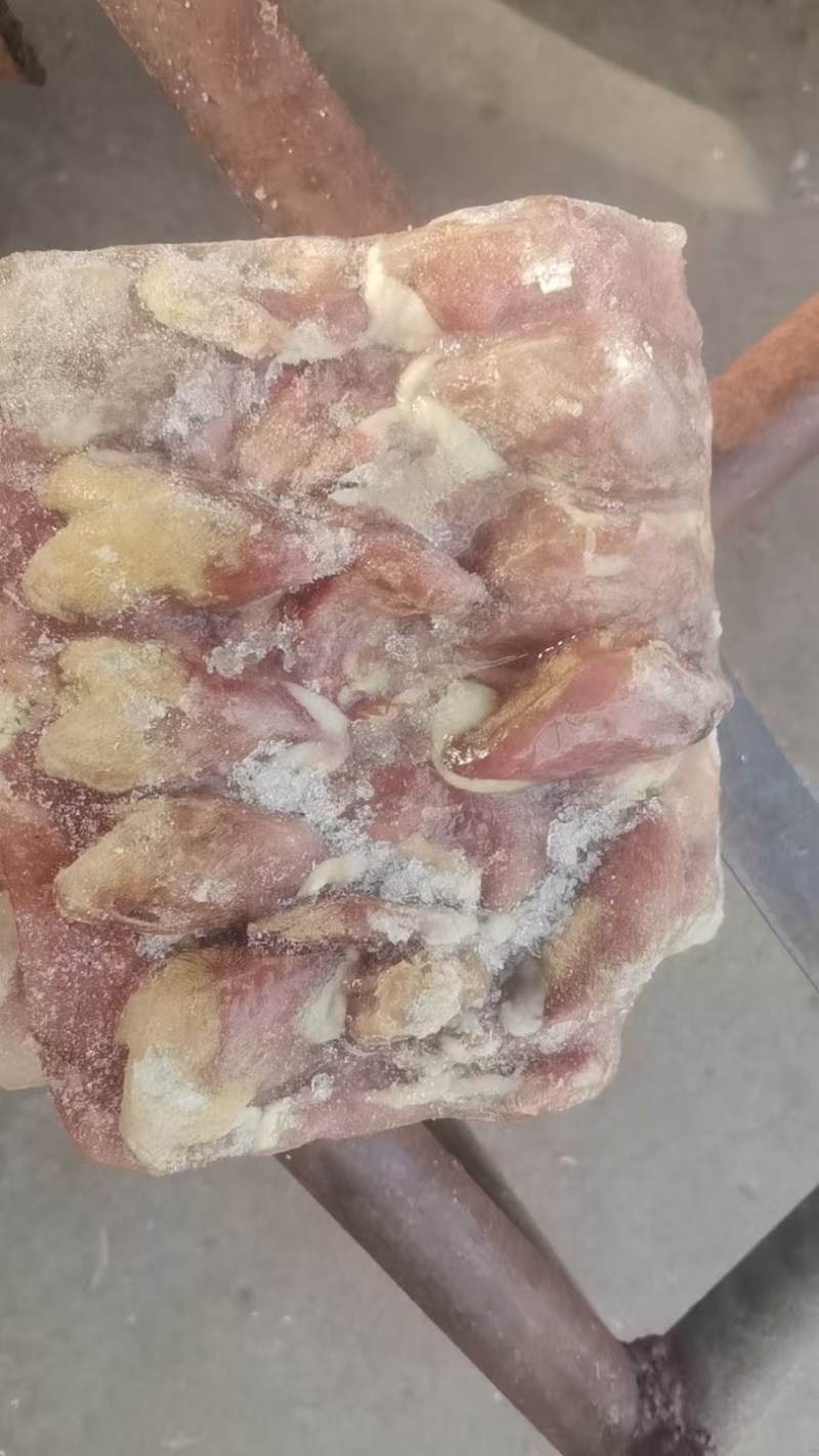 扒皮鹌鹑1.8两左右