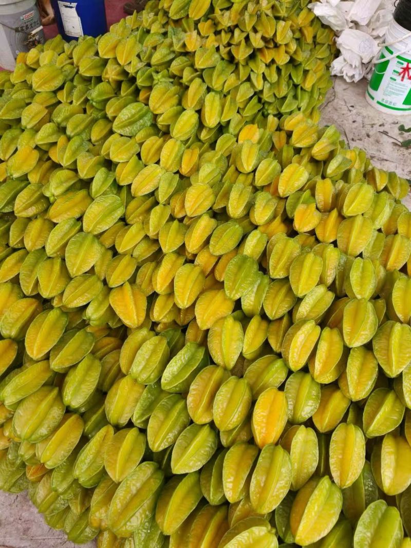 杨桃精品