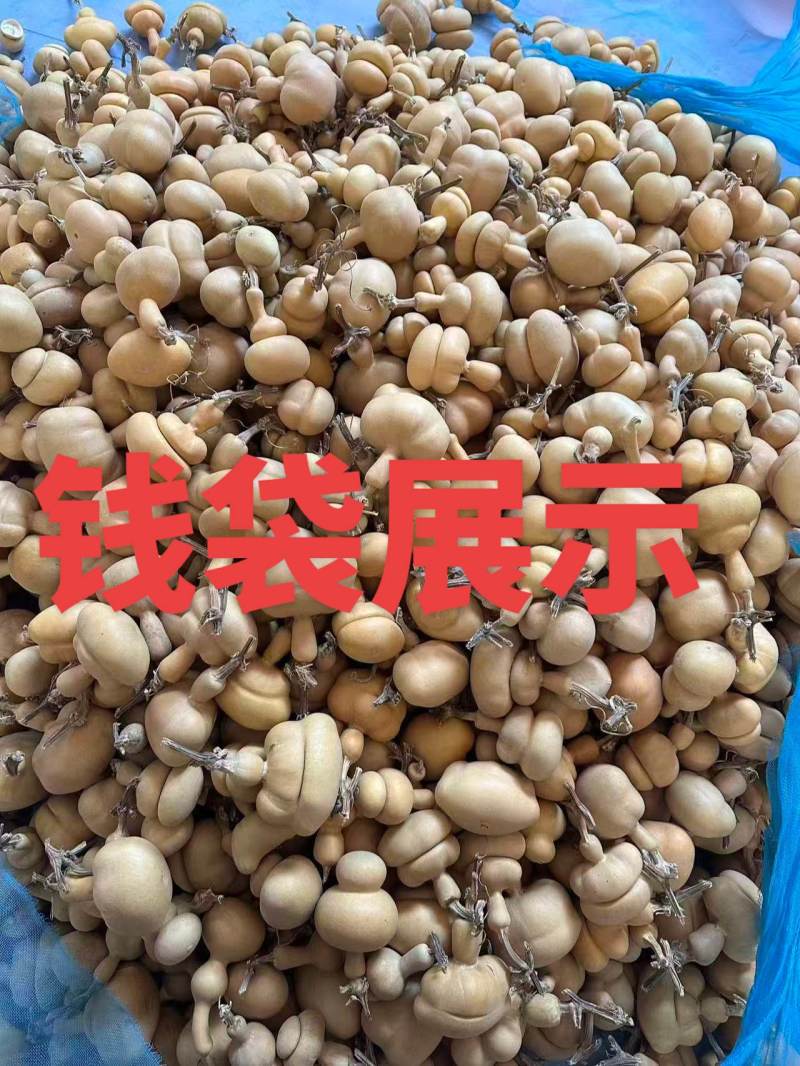可可爱爱钱袋