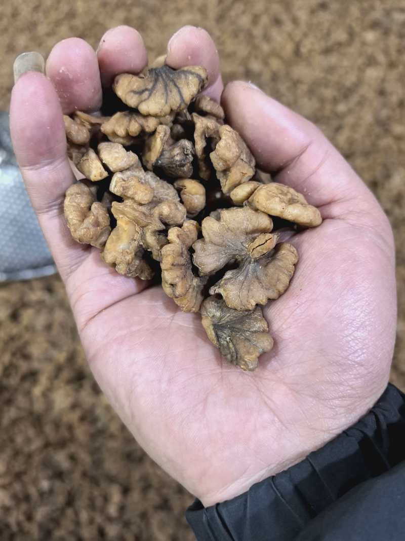 核桃仁出售，熟的，奶香味